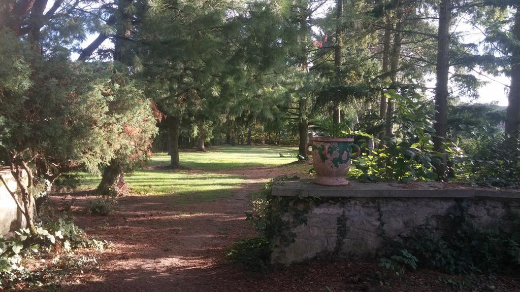 Relais De La Haute Pommeraye Apremont  Eksteriør billede